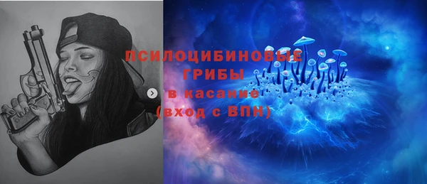бошки Осташков
