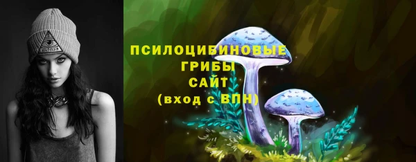 кристаллы Осинники