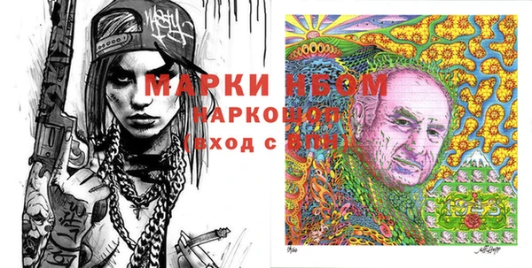 дмт Пересвет