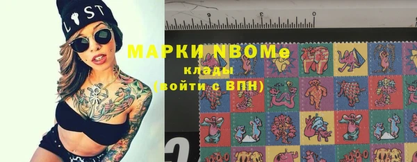 дмт Пересвет