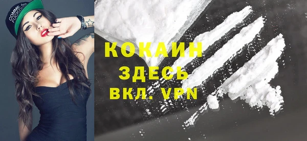 дмт Пересвет