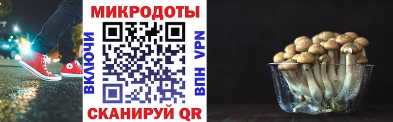 где продают наркотики  Алатырь  Псилоцибиновые грибы GOLDEN TEACHER 