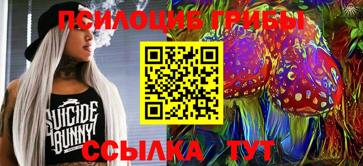 Алатырь  Псилоцибиновые грибы Psilocybine cubensis  Вход с VPN 