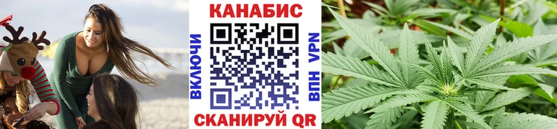 МАРИХУАНА семена  где купить   Алатырь 